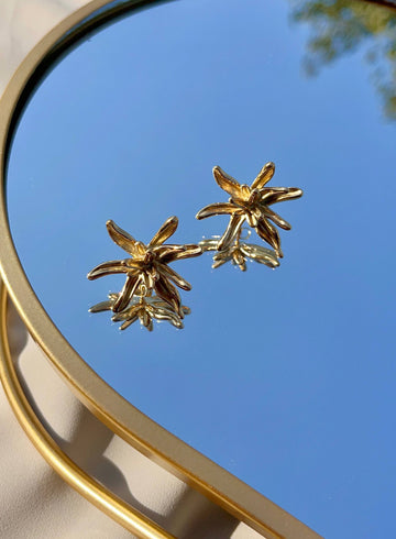 Blush Rose Glow Earrings Edition